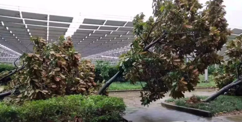有可靠證據(jù)表明光伏電站和臺(tái)風(fēng)不吹(圖1) 光伏發(fā)電設(shè)備